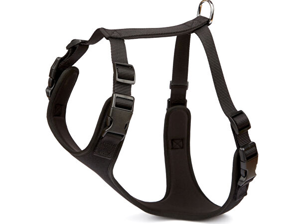 Doggie Köpek Tasmaları