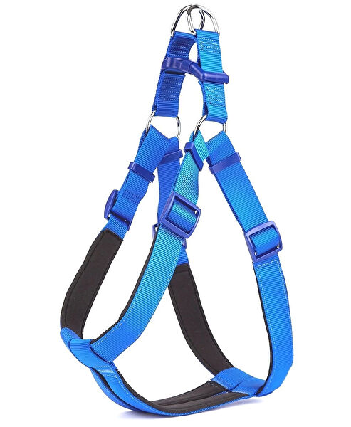 Doggie Köpek Tasmaları