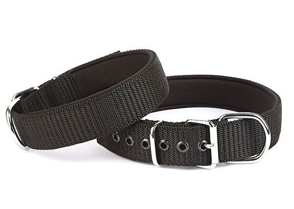 Doggie Köpek Tasmaları