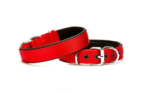 Doggie Köpek Tasmaları