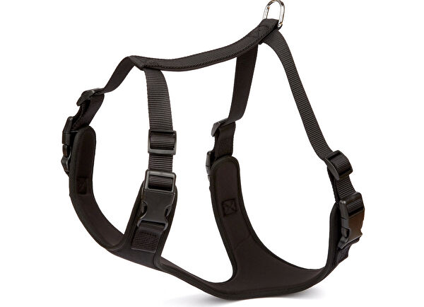 Doggie Köpek Tasmaları