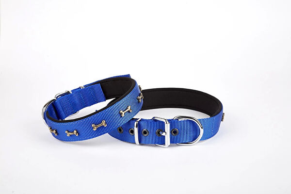 Doggie Köpek Tasmaları