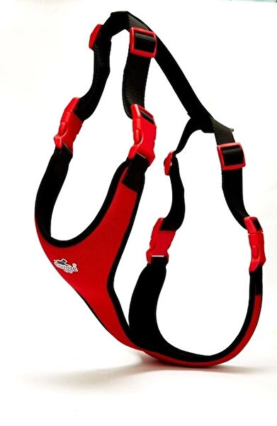 Doggie Köpek Tasmaları