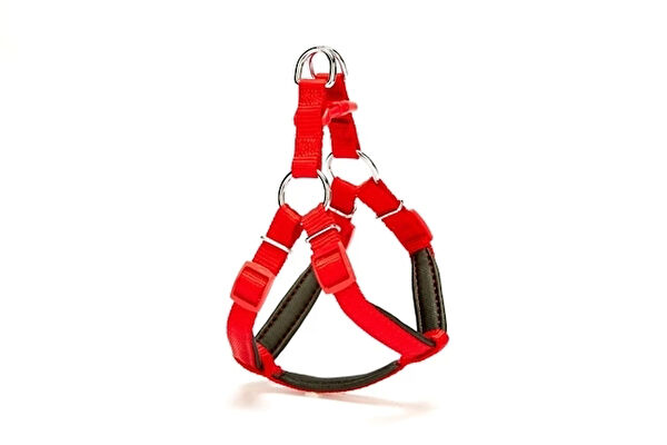 Doggie Köpek Tasmaları