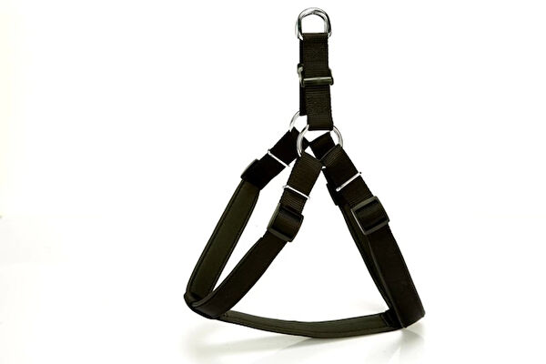 Doggie Köpek Tasmaları