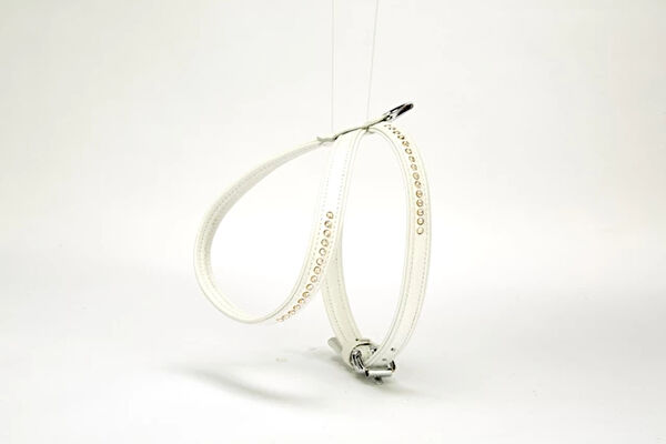 Doggie Köpek Tasmaları