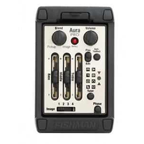 Fishman Stüdyo Amfisi