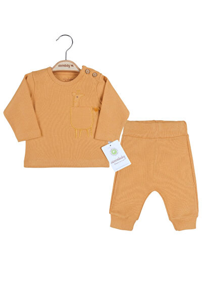 candar Bebek Alt, Üst Takım