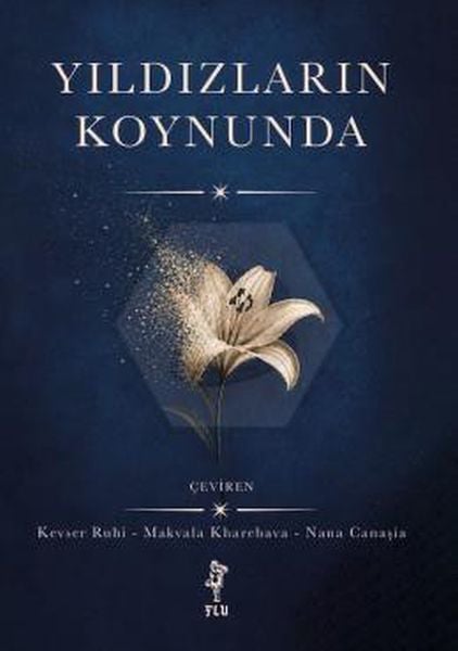 Flu Kitap Roman Kitapları