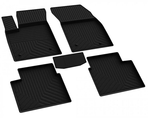 Ferrous Oto Paspası