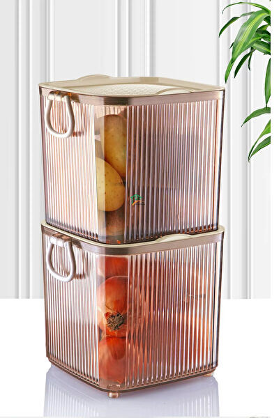 Royaleks Saklama Kabı