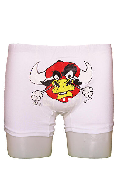 lelies Erkek Boxer, Slip, Külot