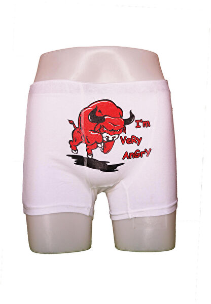 lelies Erkek Boxer, Slip, Külot