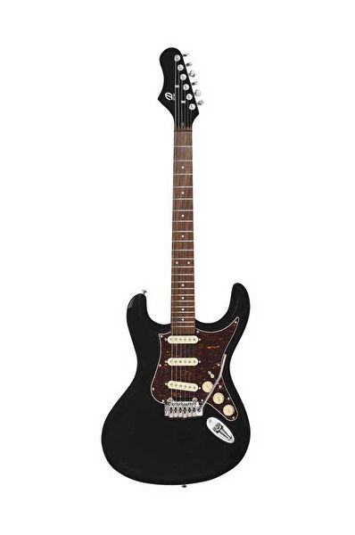 Danelectro Gitar