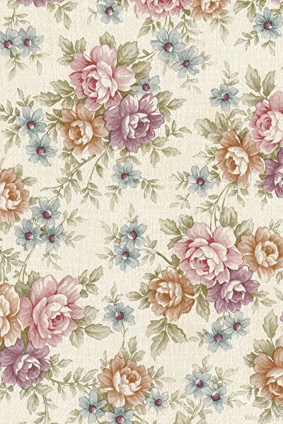 Ecce Carbon Folyolar