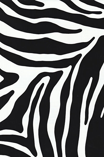 Ecce Carbon Folyolar