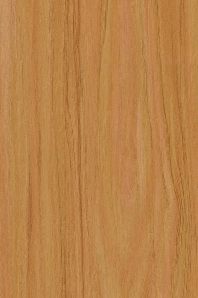 Ecce Carbon Folyolar