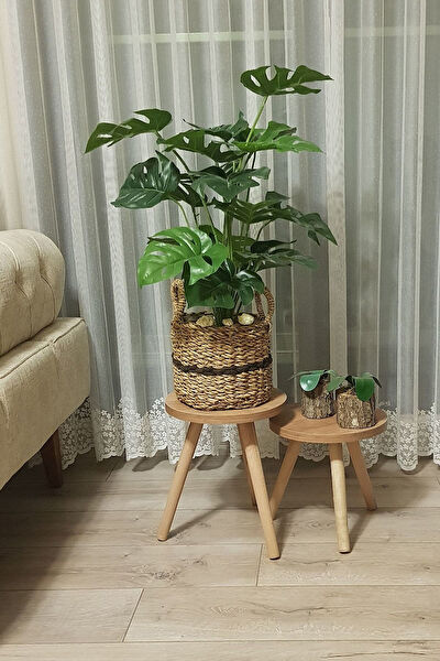 Evnalia Vazo, Saksı