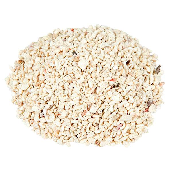 Akvaryum Akvaryum Ekipmanları