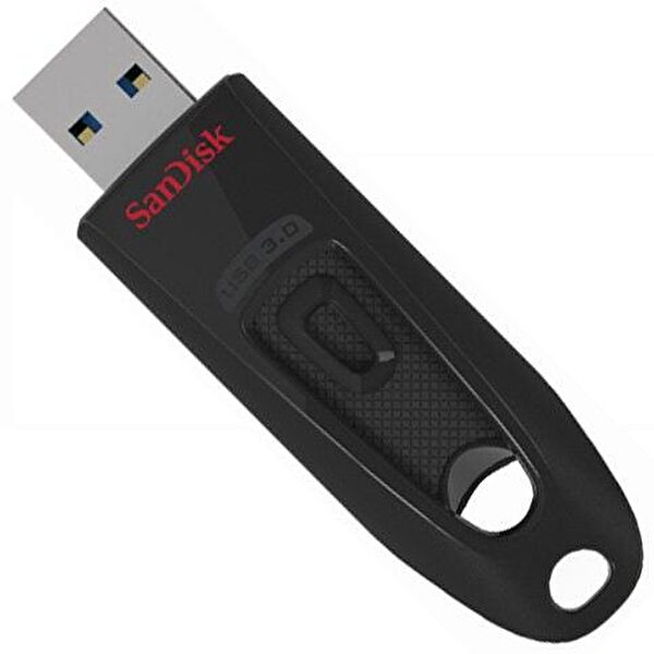 SANDISK Flash Bellek