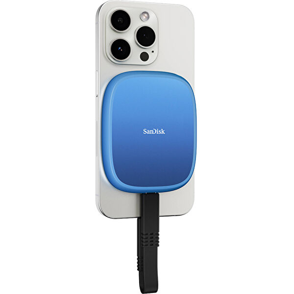 SANDISK Taşınabilir Diskler