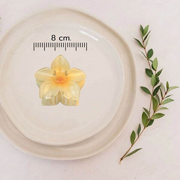 Lion Bijuteri Kadın Saç Tokaları ve Yüzükleri