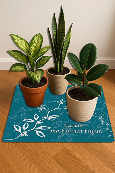 Valerine Life Saksı