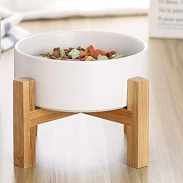 Başka Köpek Mama ve Su Kapları