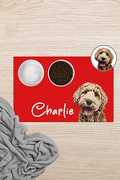 SonicTouch Kedi Yatağı