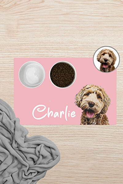 SonicTouch Kedi Yatağı