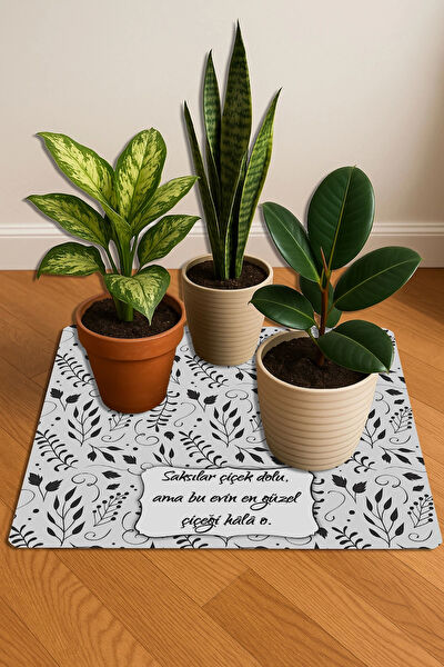 Valerine Life Saksı