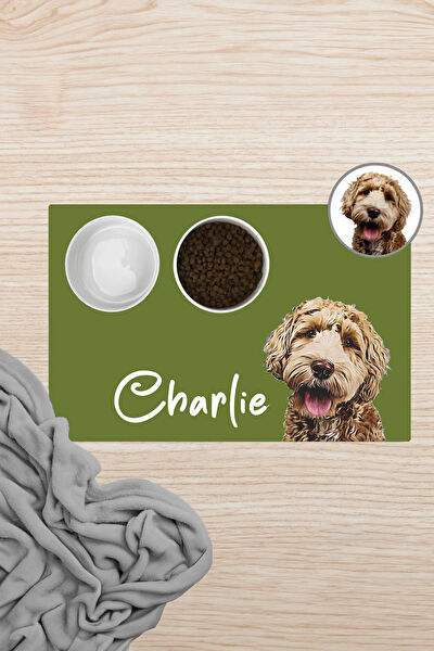 SonicTouch Kedi Yatağı