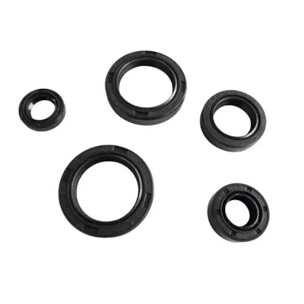 Msr Krank, Piston ve Contalar