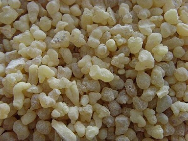 Botanik Aktar Ürünleri