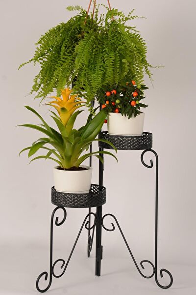 Evistro Vazo, Saksı