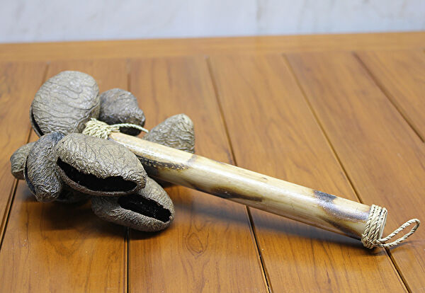 Kanonik Education Çello