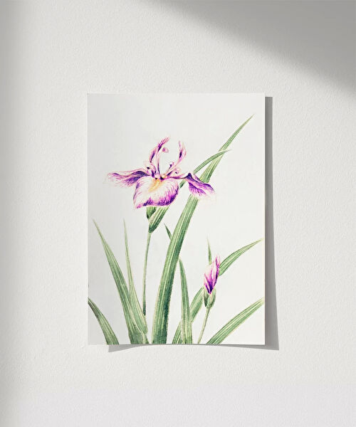 Vogloo Çerçevesiz Tablo