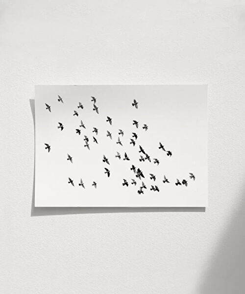 Vogloo Çerçevesiz Tablo