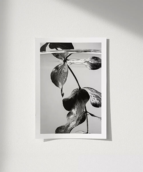 Vogloo Çerçevesiz Tablo