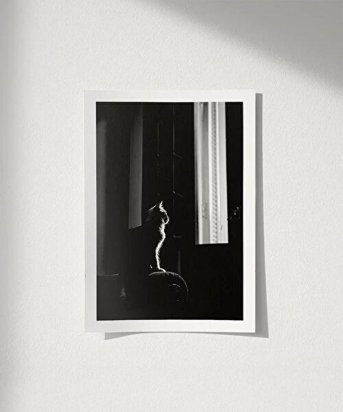 Vogloo Çerçevesiz Tablo