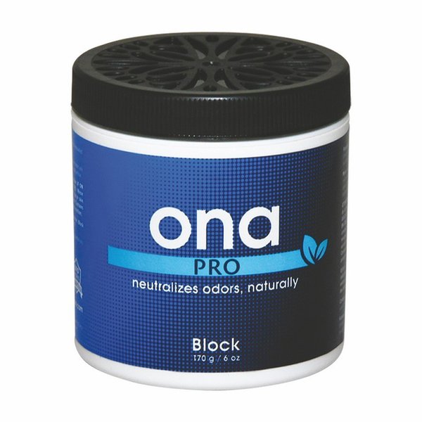 Ona Oda Kokusu