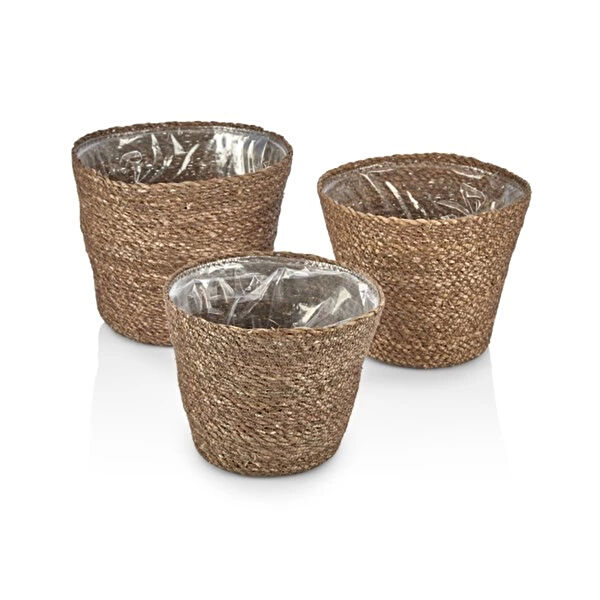 Evistro Vazo, Saksı