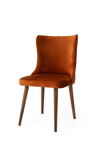 Evistro Sandalye, Tabure, Bank