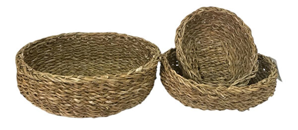 Evistro Vazo, Saksı