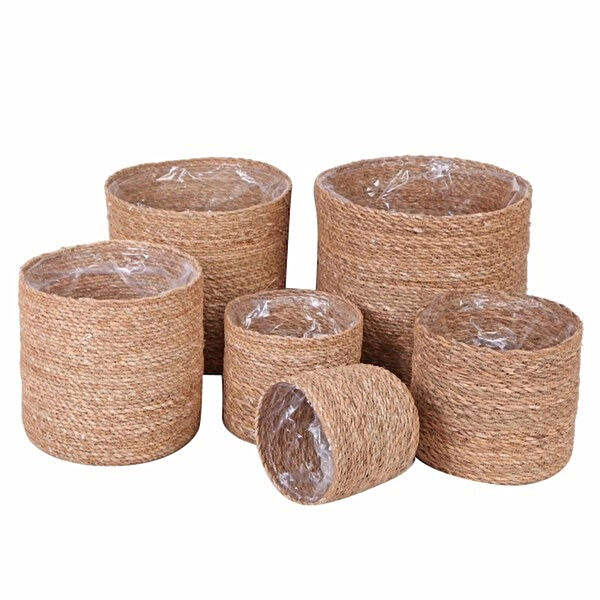 Evistro Vazo, Saksı