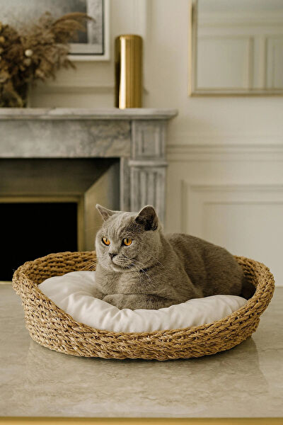 Evistro Kedi Yatağı