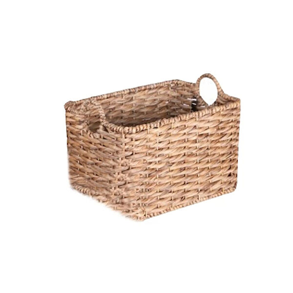 Evistro Vazo, Saksı