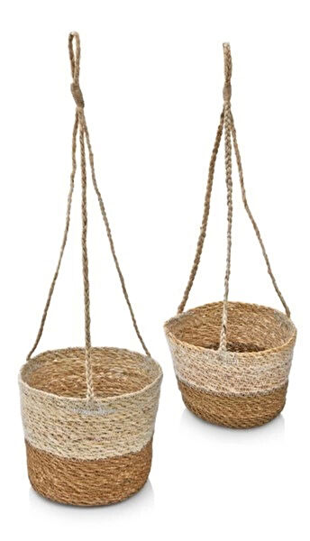 Evistro Vazo, Saksı