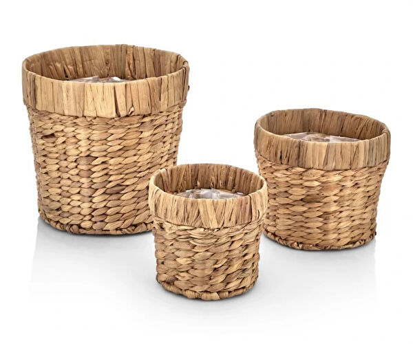 Evistro Vazo, Saksı