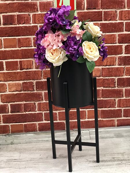 Evistro Vazo, Saksı